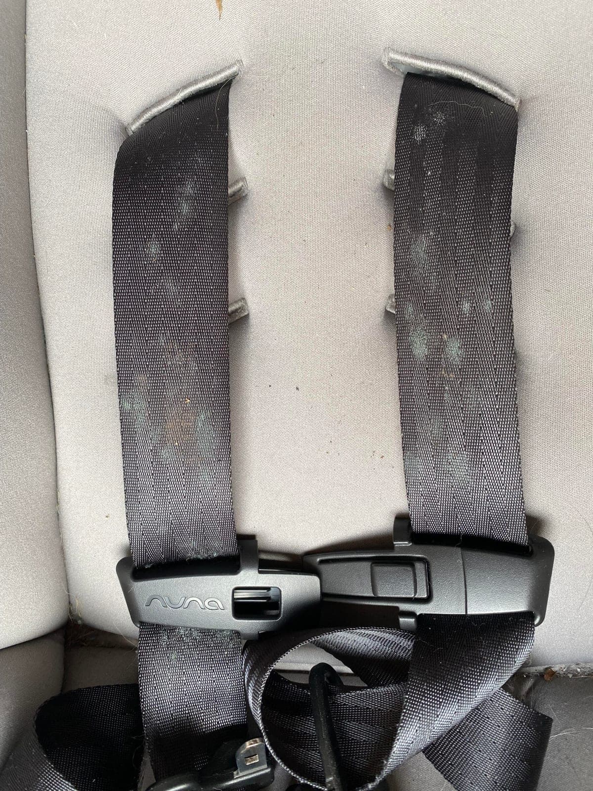 Pale patches of mold on black car seat harness straps